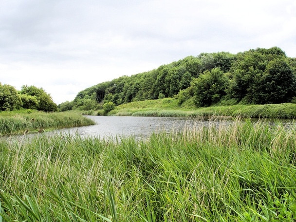 Photo 6"x4" Anderton Nature Park - view up the River Weaver Northwich c2008