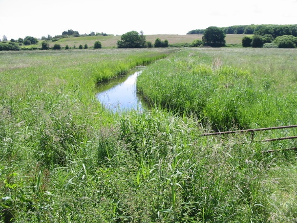 Photo 6"x4" View along drainage ditch towards White's Hill Grove Hill\/TR2360 c2008