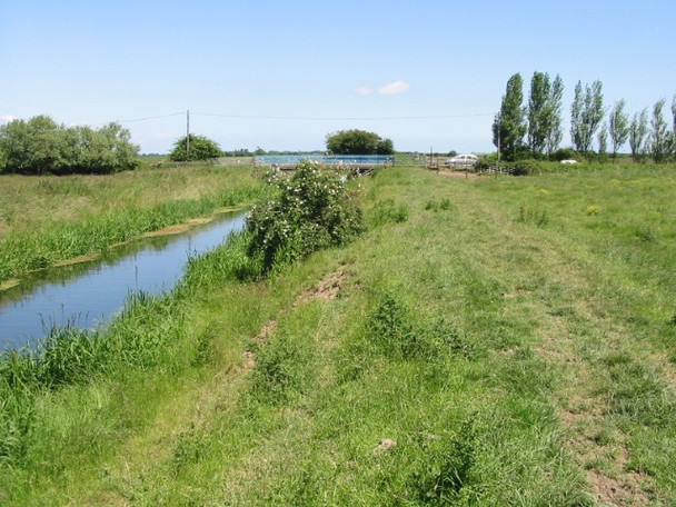 Photo 6"x4" View along the footpath which follows the Little Stour Grove\/TR2361 c2008