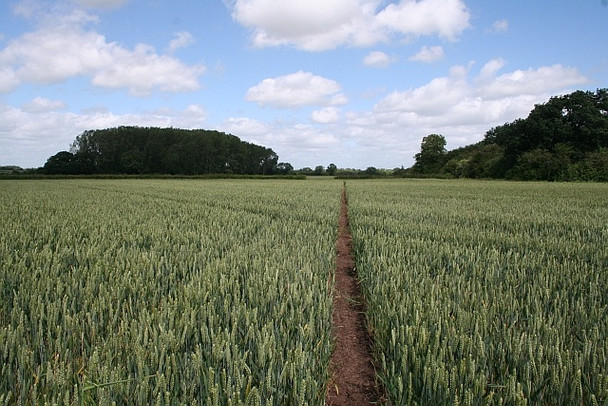 Photo 6"x4" Well marked path Green Street\/SO8740 c2008 P1