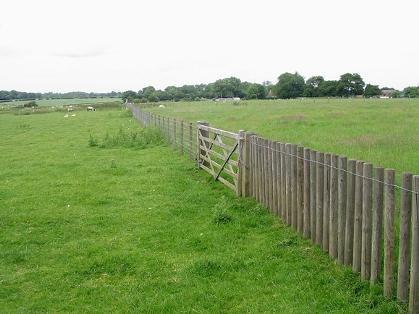 Photo 6"x4" No access for sheep Densole c2008