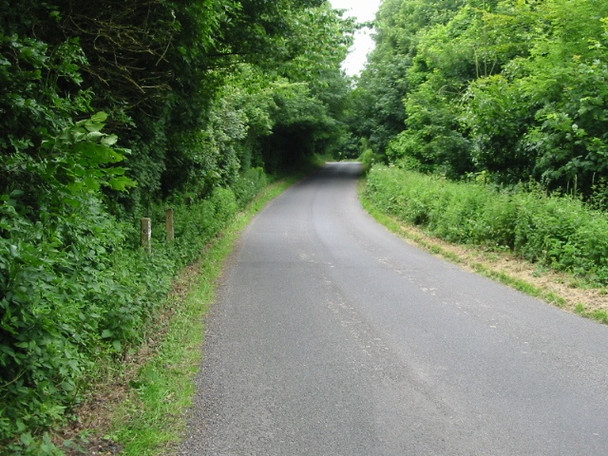 Photo 6"x4" Looking NW along road through Limekiln Plantation Shuttlesfield c2008