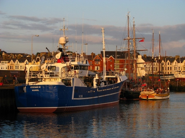 Photo 6"x4" Fishing and sailing boats, Bangor Bangor\/J5081 c2008