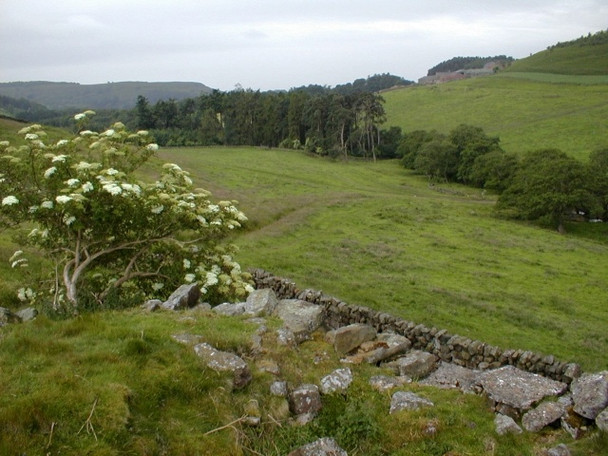 Photo 6"x4" View of Nab Farm ... Kepwick c2008