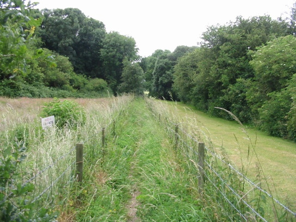 Photo 6"x4" Fenced in footpath Coombe\/TR2957 c2008