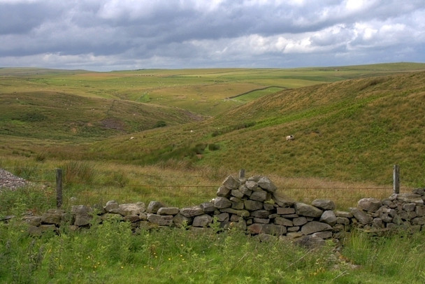 Photo 6"x4" Ruined Moor, Gayles Moor Dalton\/NZ1108 c2008