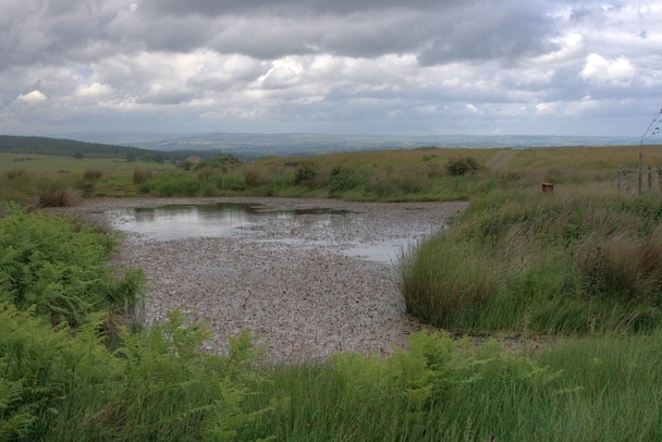 Photo 6"x4" Pond Near Stone Man Lane Gayles\/NZ1207 c2008