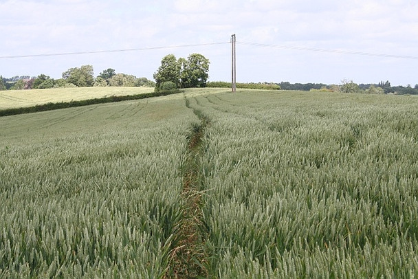 Photo 6"x4" Well marked path Baughton c2008