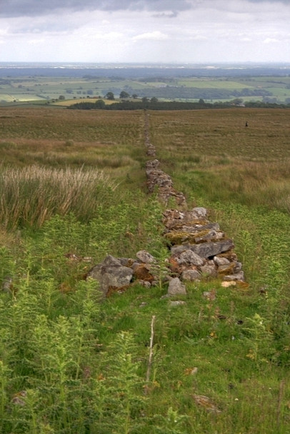 Photo 6"x4" Ruined Wall, Near Folly Plantation Kirby Hill\/NZ1306 c2008