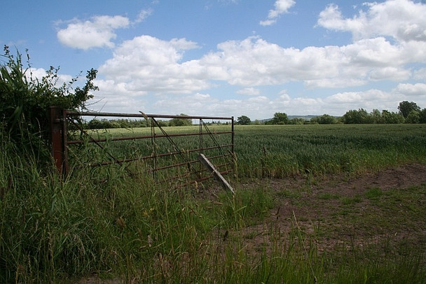 Photo 6"x4" Gateway into wheat field Baughton c2008