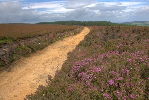 Photo 6"x4" Percy Rigg, Hutton Moor Hutton Village c2008