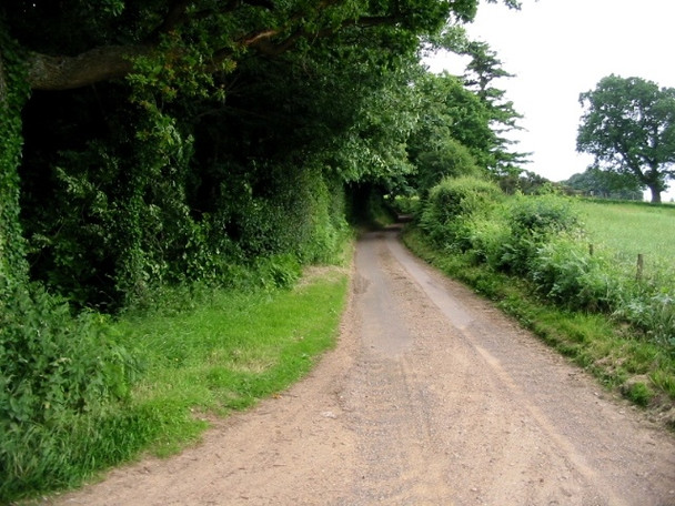 Photo 6"x4" Winterage Lane on the edge of Acrise Wood Shuttlesfield c2008