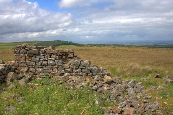 Photo 6"x4" Ruin, Gayles Moor Dalton\/NZ1108 c2008