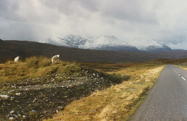 Photo 6"x4" View towards An Teallach from the A832 Fain c1983