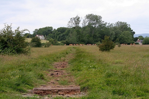 Photo 6"x4" Drain across Smithmoor Common Green Street\/SO8740 c2008
