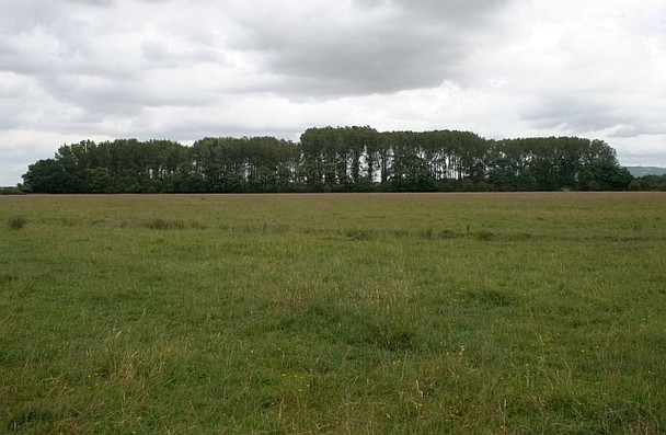 Photo 6"x4" Copse and Smithmoor Common Green Street\/SO8740 c2008