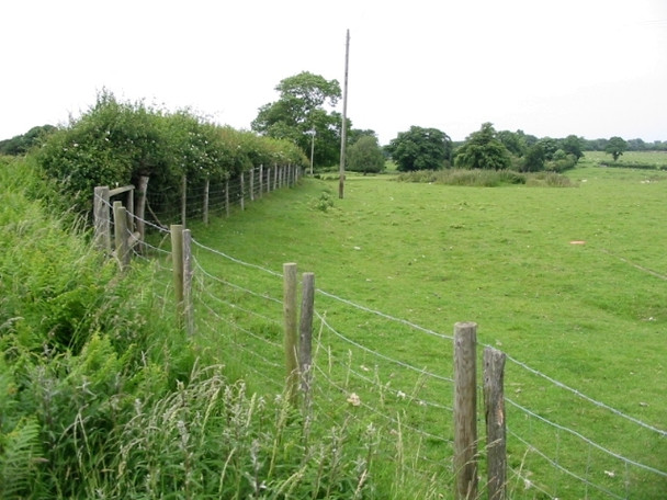 Photo 6"x4" Field boundary with lane Shuttlesfield c2008
