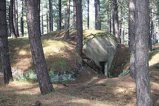 Photo 6"x4" Bunker in the Woods Lochhill\/NJ2964 c2008