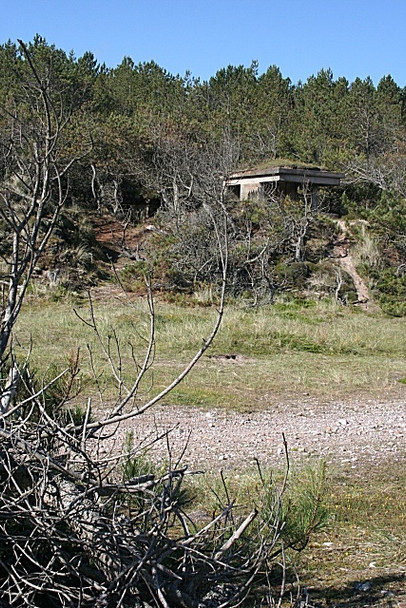 Photo 6"x4" Wartime Lookout Lochhill\/NJ2964 c2008