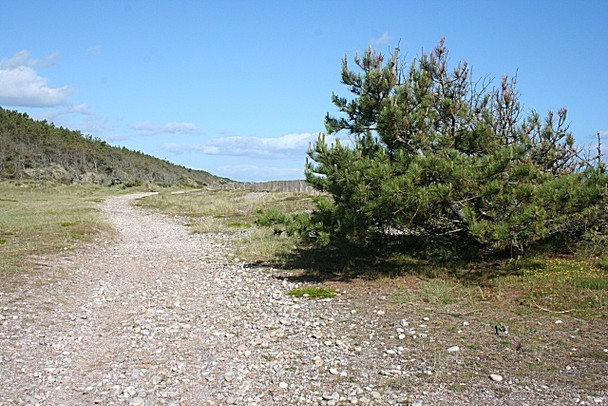Photo 6"x4" Moray Coast Trail Boar's Head Rock c2008