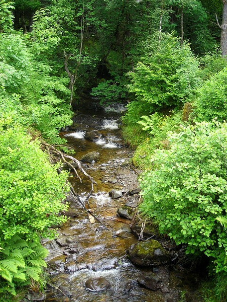 Photo 6"x4" Tighanes Burn in Strathyre Forest Strathyre\/NN5617 c2008