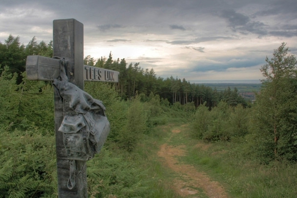 Photo 6"x4" Looking Down Green Hill Guisborough c2008