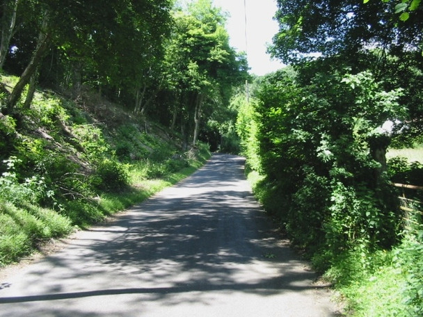 Photo 6"x4" The road to Ewell Minnis through Neck Wood Ewell Minnis c2008
