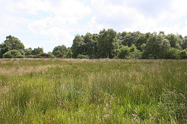 Photo 6"x4" Upper Manbeen Kellas\/NJ1754 c2008