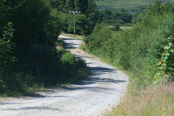 Photo 6"x4" Forestry Track Through Church Wood Bridgend\/NR7937 c2008