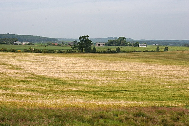 Photo 6"x4" Looking Towards Auchtertyre Paddockhaugh c2008