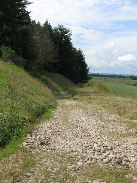 Photo 6"x4" Track alongside forestry, not marked on my map Meikleour c2008