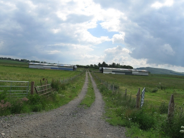 Photo 6"x4" Farm buildings and track, not marked on my map Bonnyton\/NO3338 c2008