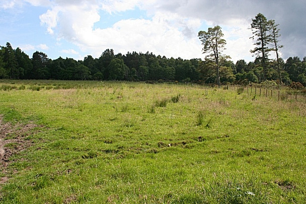 Photo 6"x4" Looking Uphill from near Rosehill Torrieston c2008