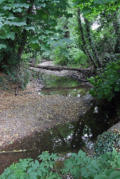 Photo 6"x4" Dollis Brook Finchley c2008 P1