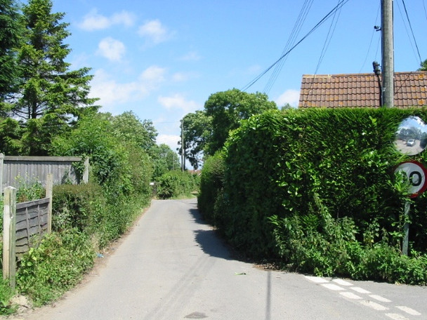 Photo 6"x4" Lane towards Minnis Farm Ewell Minnis c2008