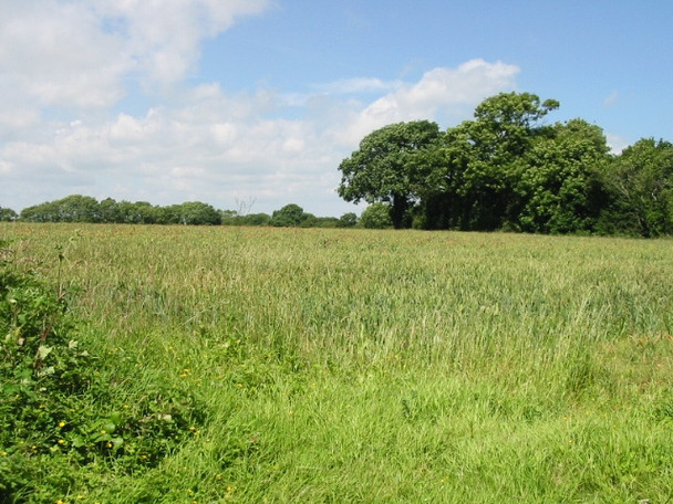 Photo 6"x4" View across the field from Ferne Lane Chalksole c2008