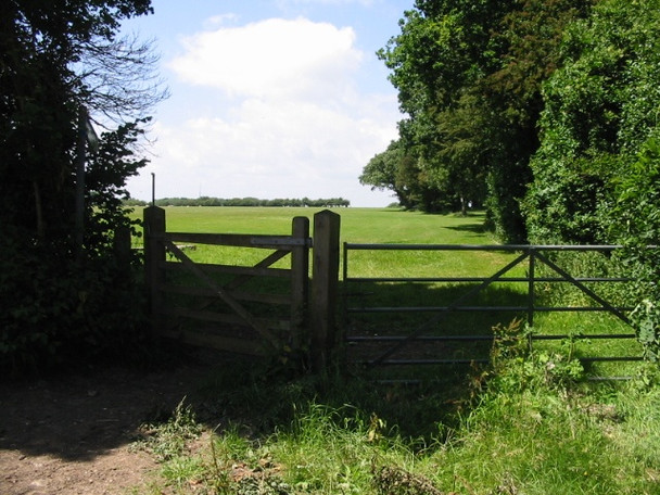 Photo 6"x4" Footpath across the fields Chalksole c2008