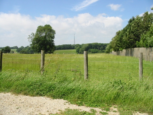 Photo 6"x4" View across fields Swingfield Street c2008