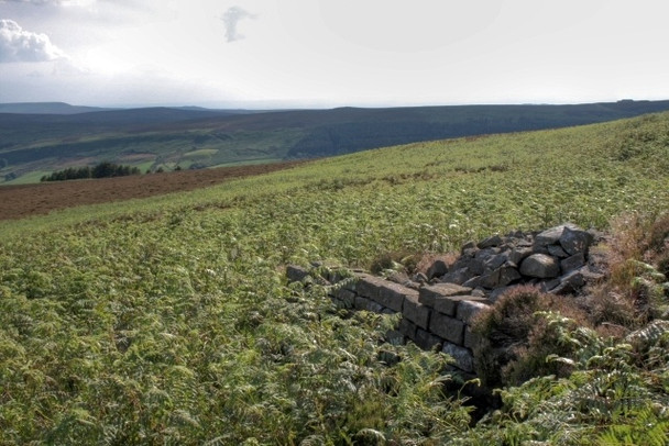 Photo 6"x4" Wall, Cringle Moor Great Busby c2008