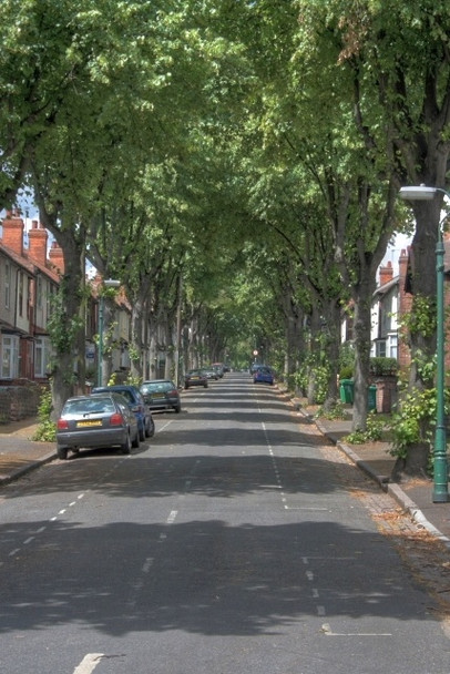 Photo 6"x4" Harrington Drive Nottingham\/SK5641 c2008