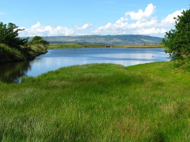 Photo 6"x4" Lagoon near Holywood [5] Holywood\/J3979 c2008