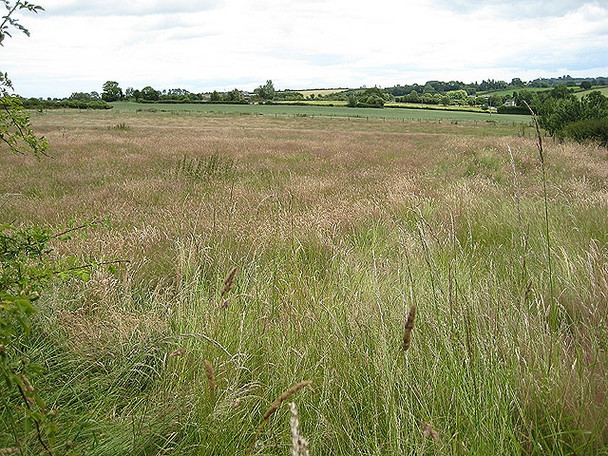 Photo 6"x4" Meadow near Lyston Villa Farm Hill Gate c2008