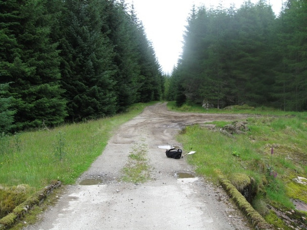 Photo 6"x4" Bridge over Allt Loraich\/ track into forest Fersit c2008