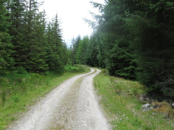Photo 6"x4" Forestry track south of Loch Laggan Allt Creagan na Seabhaig c2008