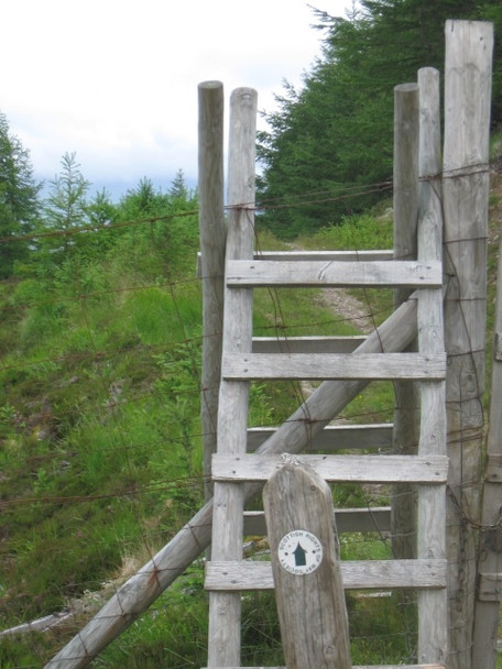 Photo 6"x4" Fence steps on forestry edge below Creag Dhubh Fersit c2008
