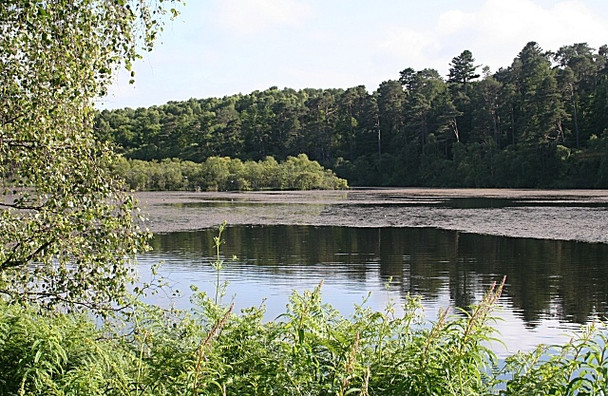 Photo 6"x4" Loch Oire Lhanbryde c2008