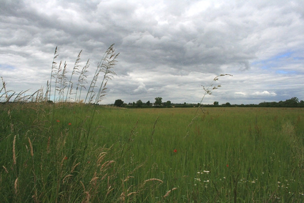 Photo 6"x4" Looking Towards Cottage Farm Breaston c2008