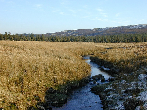 Photo 6"x4" Nant Rhuddnant, looking east Cripiau Nantmelyn c2001