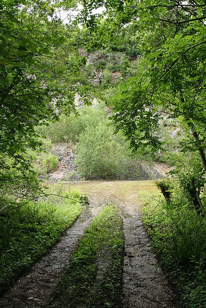 Photo 6"x4" Yealmpton: quarry entrance at Eastern Torrs Torr\/SX5851 c2008