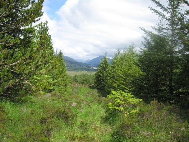 Photo 6"x4" View from end of marked track on Landranger: Loch Sheil in distance Ardshealach c2008